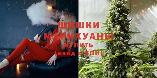 индика Белокуриха